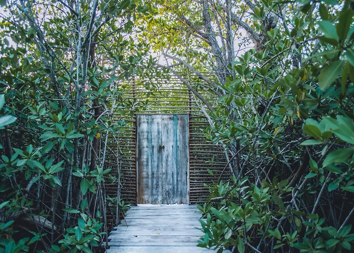Nativus Glamping & Cenote Tulum