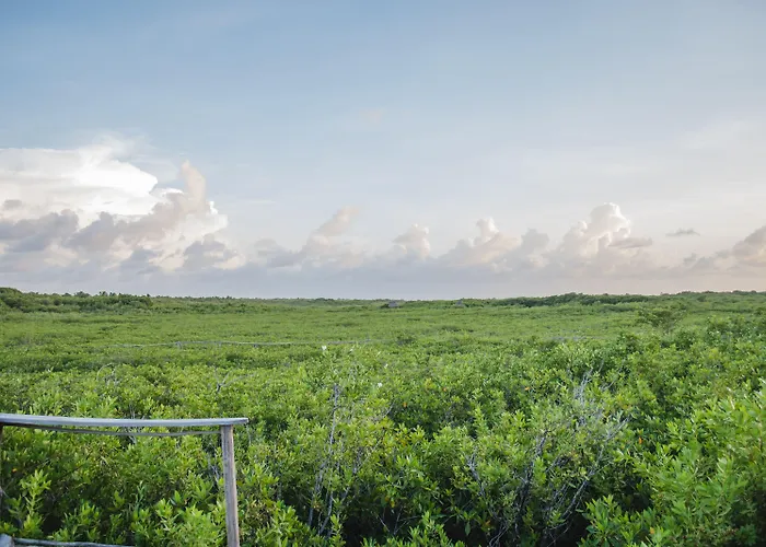 Nativus Glamping & Cenote 3*