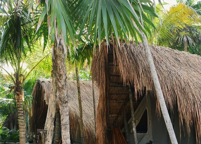 Hotel Nativus Glamping & Cenote 3*