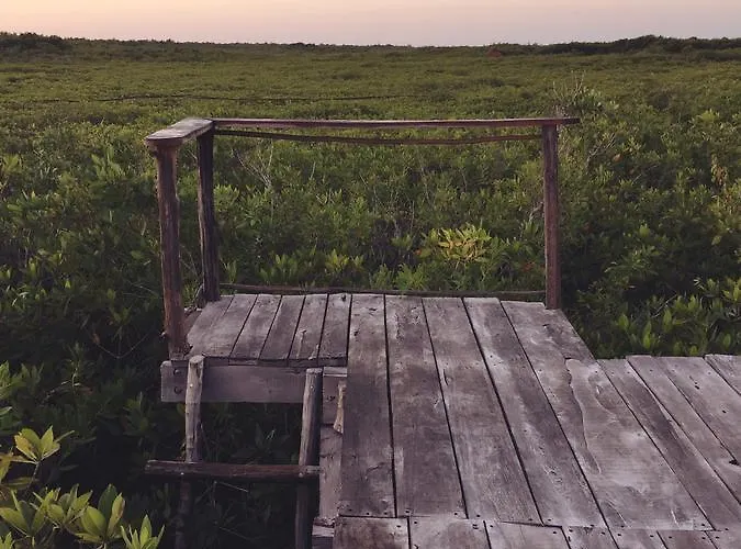 Nativus Glamping & Cenote Tulum