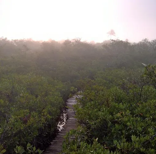 Nativus Glamping & Cenote Tulum